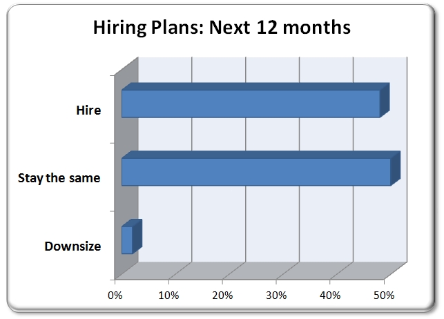 Graphc-15(HiringPlans).jpg (76541 bytes)